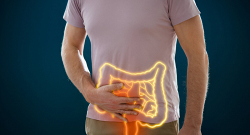 Il Ruolo del Microbiota Intestinale nella Sindrome dell'Intestino Irritabile (IBS)